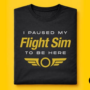 Funny Flight Simulator T-Shirt, Pilot Aviation Gift, I Paused My Flight Sim