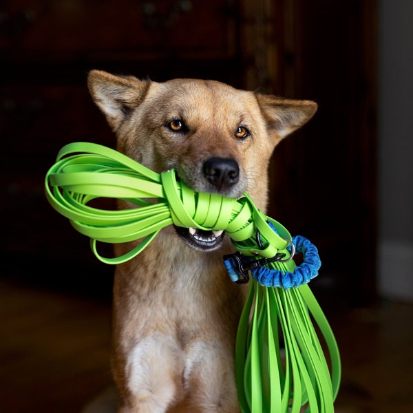 Bungee Biothane Longline Leash for Dogs • Long Line for Dogs • Waterproof Dog Leash • Recall Training Leash