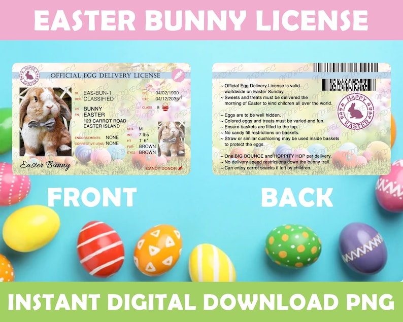 Easter Bunny License Blue PNG Sublimation Designs Instant Etsy