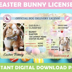 Easter Bunny License Blue PNG, Sublimation Designs, Instant Digital Download, Easter, Egg Delivery, Easter Bunny Lost License