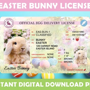 Licence de lapin de Pâques rose PNG, designs par sublimation, téléchargement numérique instantané, Pâques, livraison d'oeufs, licence perdue de lapin de Pâques