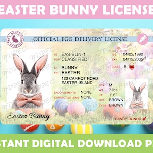 Lapin de Pâques licence bleu PNG, motifs par sublimation, téléchargement numérique instantané, Pâques, livraison d'oeufs, licence perdue de lapin de Pâques