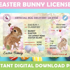 Easter Bunny License Pink PNG, Sublimation Designs, Instant Digital Download, Easter, Egg Delivery, Easter Bunny Lost License
