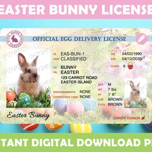 Easter Bunny License Blue PNG, Sublimation Designs, Instant Digital Download, Easter, Egg Delivery, Easter Bunny Lost License