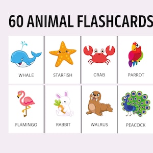 60 Animal Flashcards, Animal Printable Flashcards, Preschool Flashcards, Toddler Flashcards, Animal Cards Set, Printable Flashcards