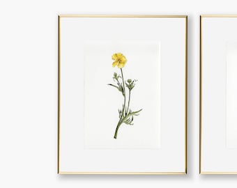 Yellow Flowers - Set trois Originaux Aquarelle Peinture