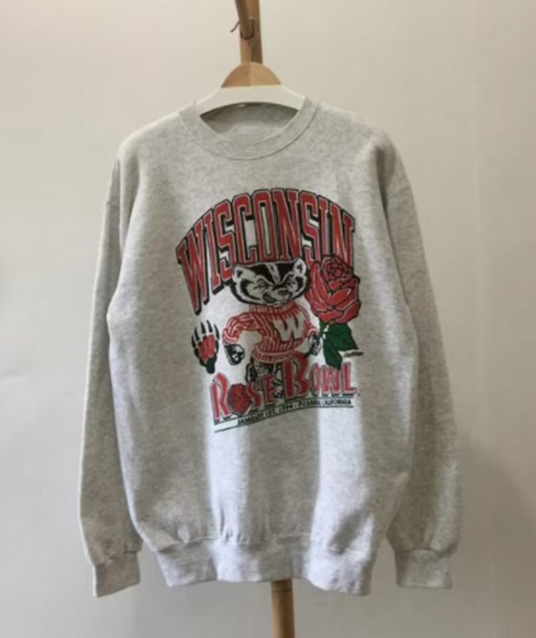 Wisconsin Sweatshirt - Etsy