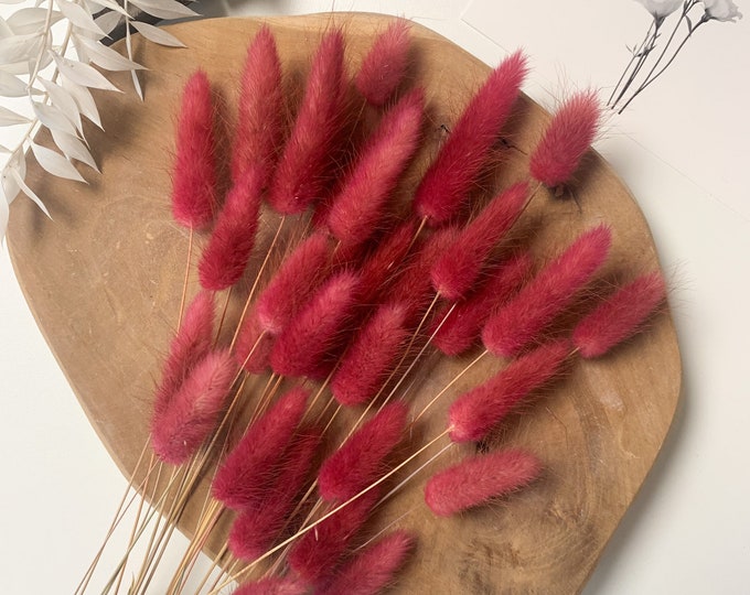 Trockenblumen & Pampasgras für dein Zuhause von FLEURSDESAC auf Etsy