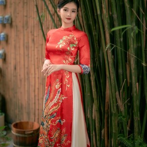 Vietnamese modern ao dai , High quality Vietnamese traditional costume, Vietnamese traditional clothing, include skirts. image 2