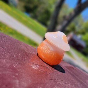 Resin Mushroom Jars