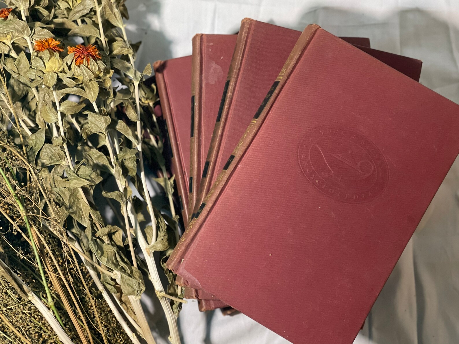 Vintage Books by Color Red 1955 set of Red Encyclopedias Etsy