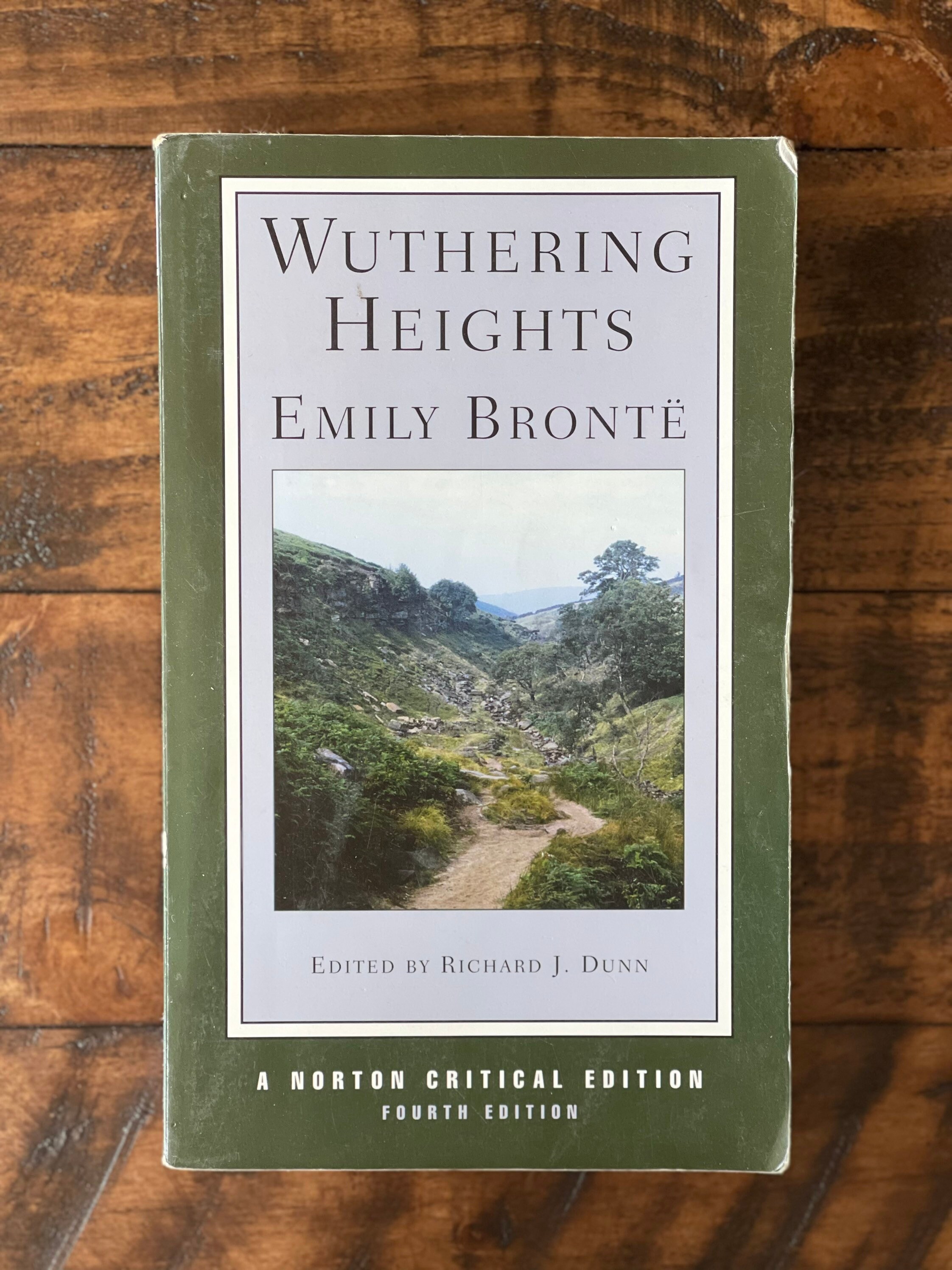 1991 Wuthering Heights by Emily Bronte Vintage Paperback Etsy