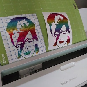 David Bowie/ Ziggy Stardust
