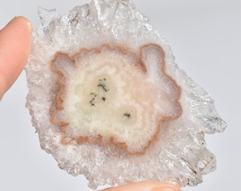 A Grade Uruguay Quartz Stalactite Slice – Cream Agate with Druzy Quartz – 2.66 Inch Mineral Specimen