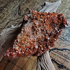 May include: A cluster of orange-brown crystals on a rough, brown rock. The rock is resting on a piece of driftwood.
