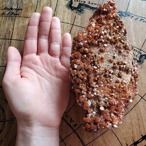 May include: A large, rough, orange-brown rock formation with a cluster of small, shiny, orange crystals. The rock is sitting on a wooden surface.