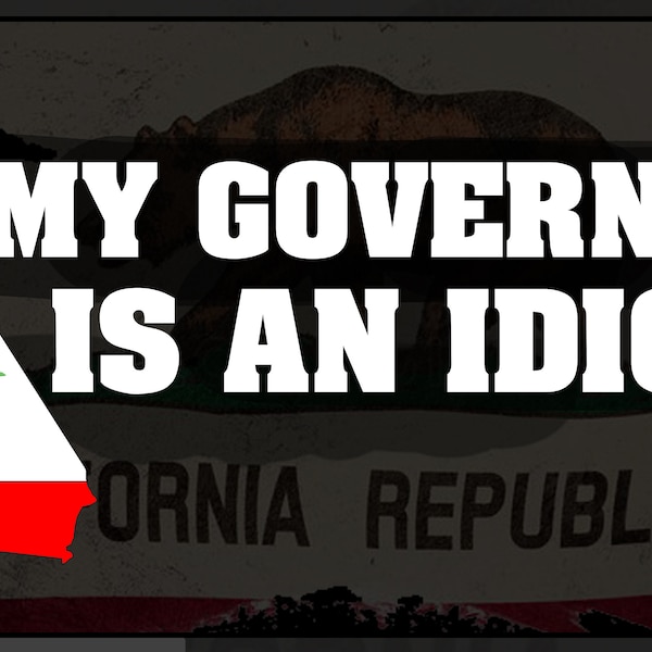 ANTI-Gavin Anti Newsom - My Governor Is An Idiot.  3' by 5' ft