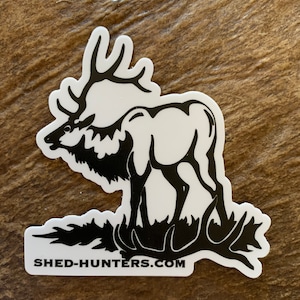 Elk Shed Antler Decal