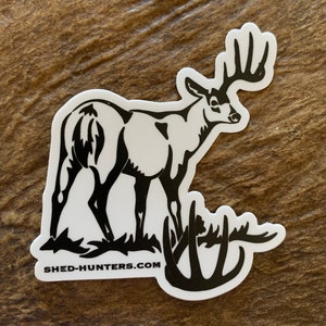 Deer Antlers