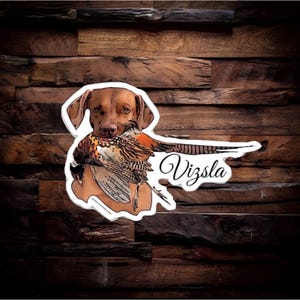 Vizsla Upland Bird Dog Pheasent Hunting Sticker