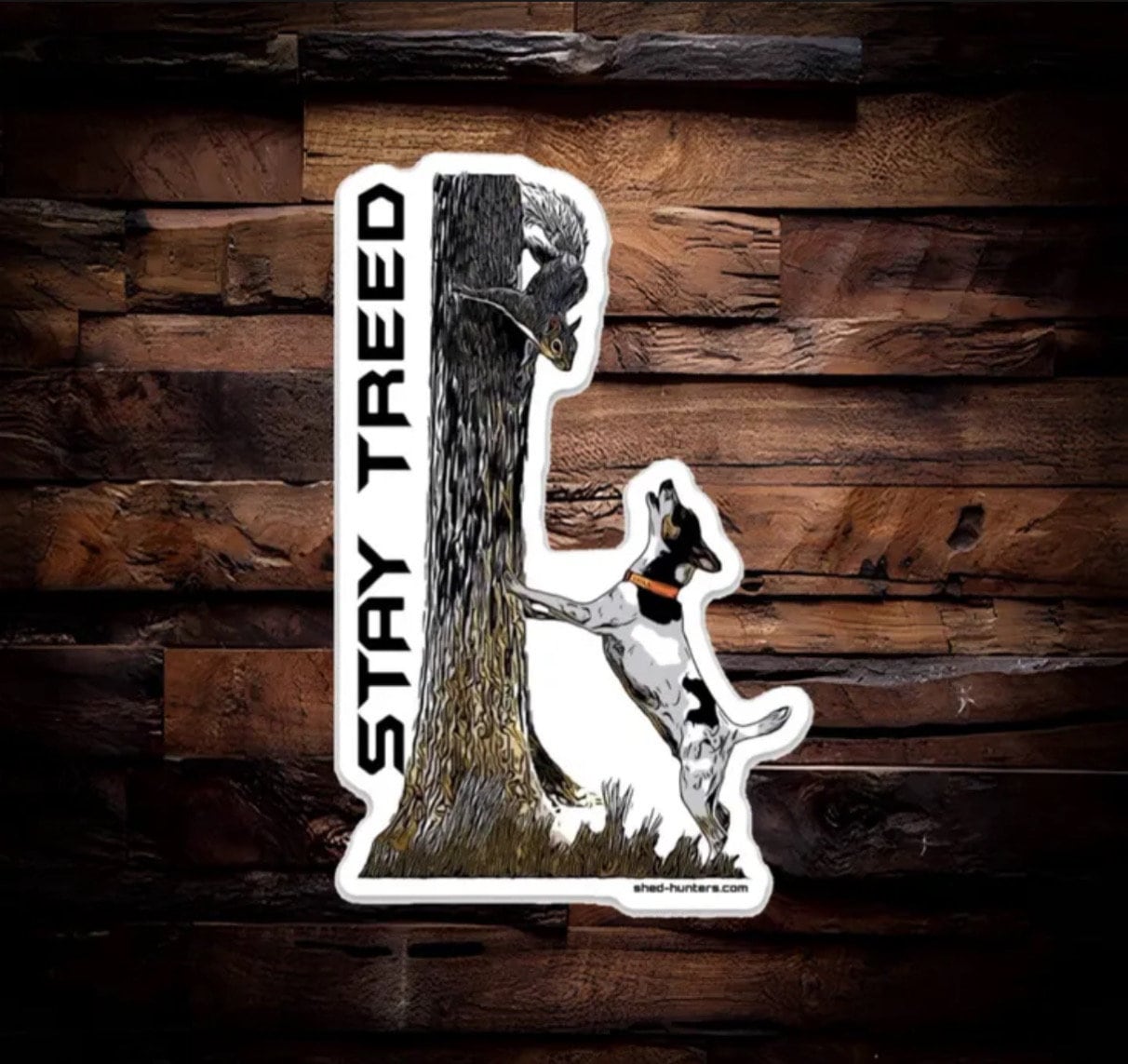 Treeing Feist Feist Dog Climbing Mountain Feist