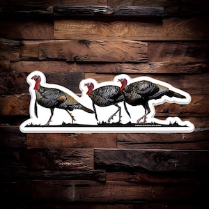 May include: A sticker featuring a line of three wild turkeys walking in a row. The turkeys are brown and black with red heads and wattles. The sticker has a white outline and the text "shed-hunters.com" at the bottom.