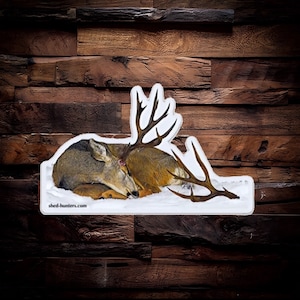 Mule deer shed antler decal