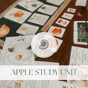 May include: An educational Apple Study Unit with watercolor illustrations of apples, seeds, and the apple life cycle. The set includes flashcards and informational cards, with the text "APPLE STUDY UNIT" at the bottom.