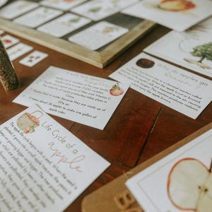 APPLE Mini Study | Fall Homeschool Curriculum | Autumn Learning Unit ...