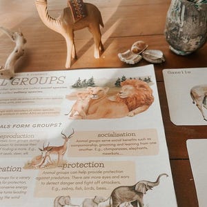 Onderzoekspakket dierclassificatie | Werkbladen, posters en flashcards wetenschap voor thuisonderwijs (afdrukbaar pdf-bestand) afbeelding 6