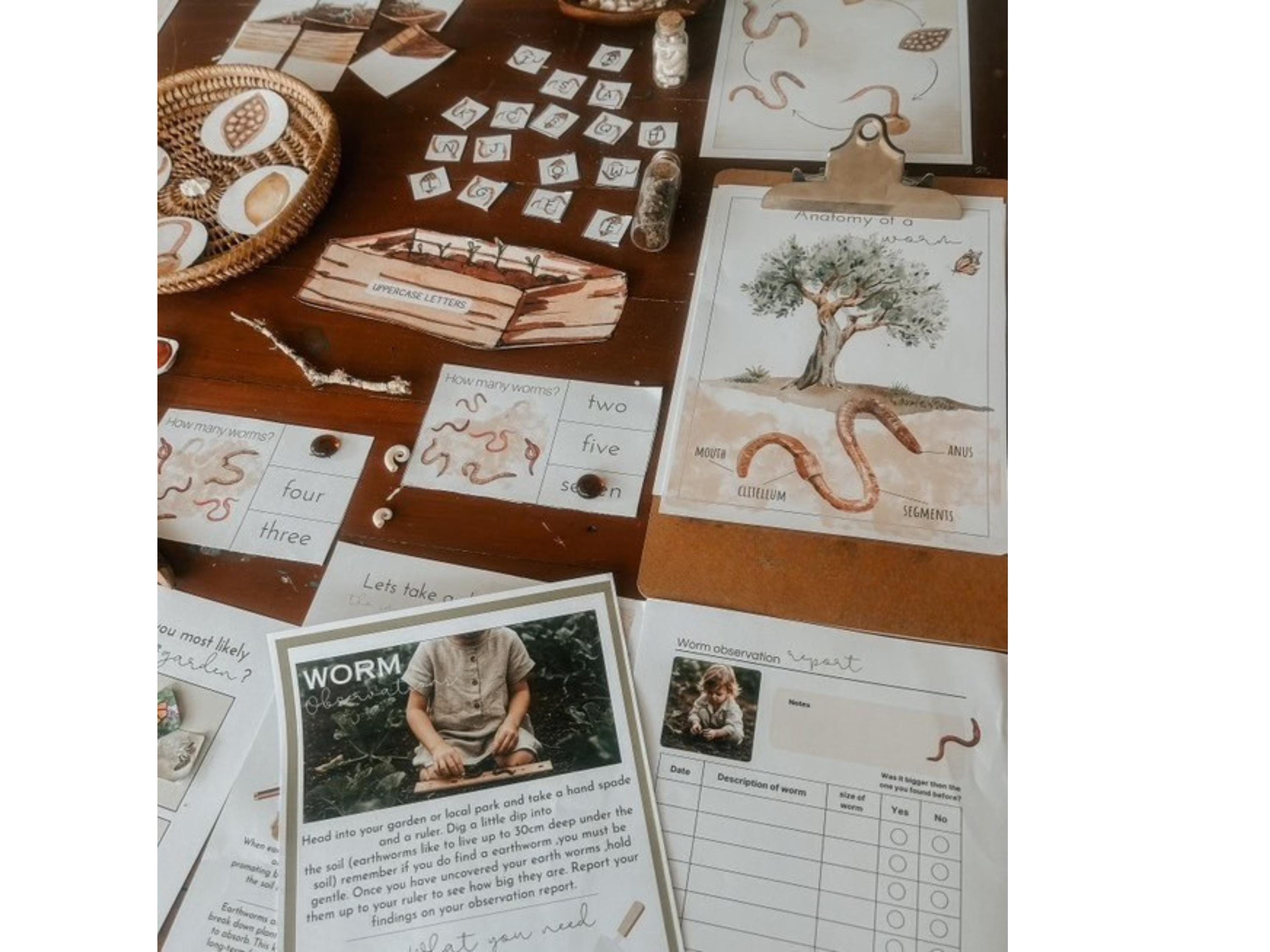 Earthworm Study Unit | Anatomy, Lifecycle, Morning Basket Worksheets ...