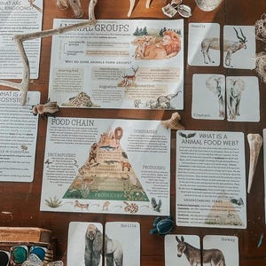 Onderzoekspakket dierclassificatie | Werkbladen, posters en flashcards wetenschap voor thuisonderwijs (afdrukbaar pdf-bestand) afbeelding 5