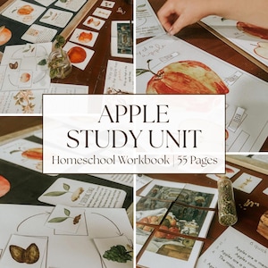 Apple Unit Study Printable | Homeschool Worksheets PDF | Spring & Summer Learning Bundle | Autumn Discovery