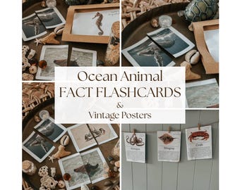 Ocean Animals Fact Flashcards en vintage posters | Montessori Ocean Study Pack + bonuspuzzelkaarten (afdrukbaar pdf)