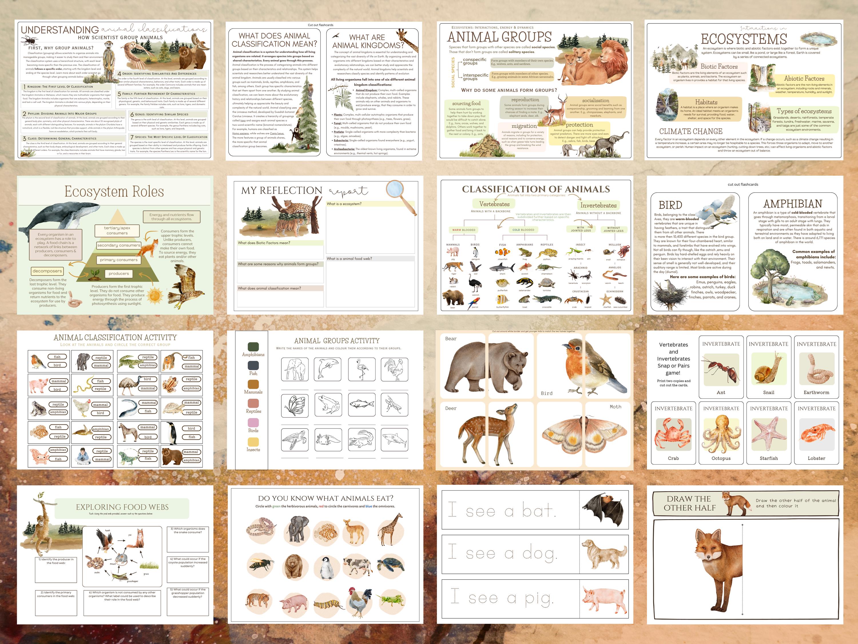 Animal Classification Study Pack | Homeschool Science Worksheets ...