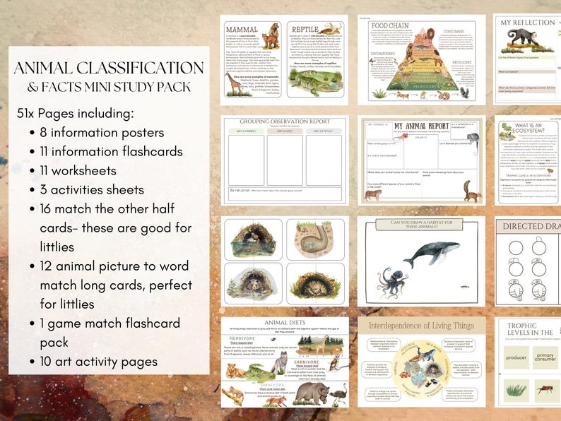 Onderzoekspakket dierclassificatie | Werkbladen, posters en flashcards wetenschap voor thuisonderwijs (afdrukbaar pdf-bestand) afbeelding 2