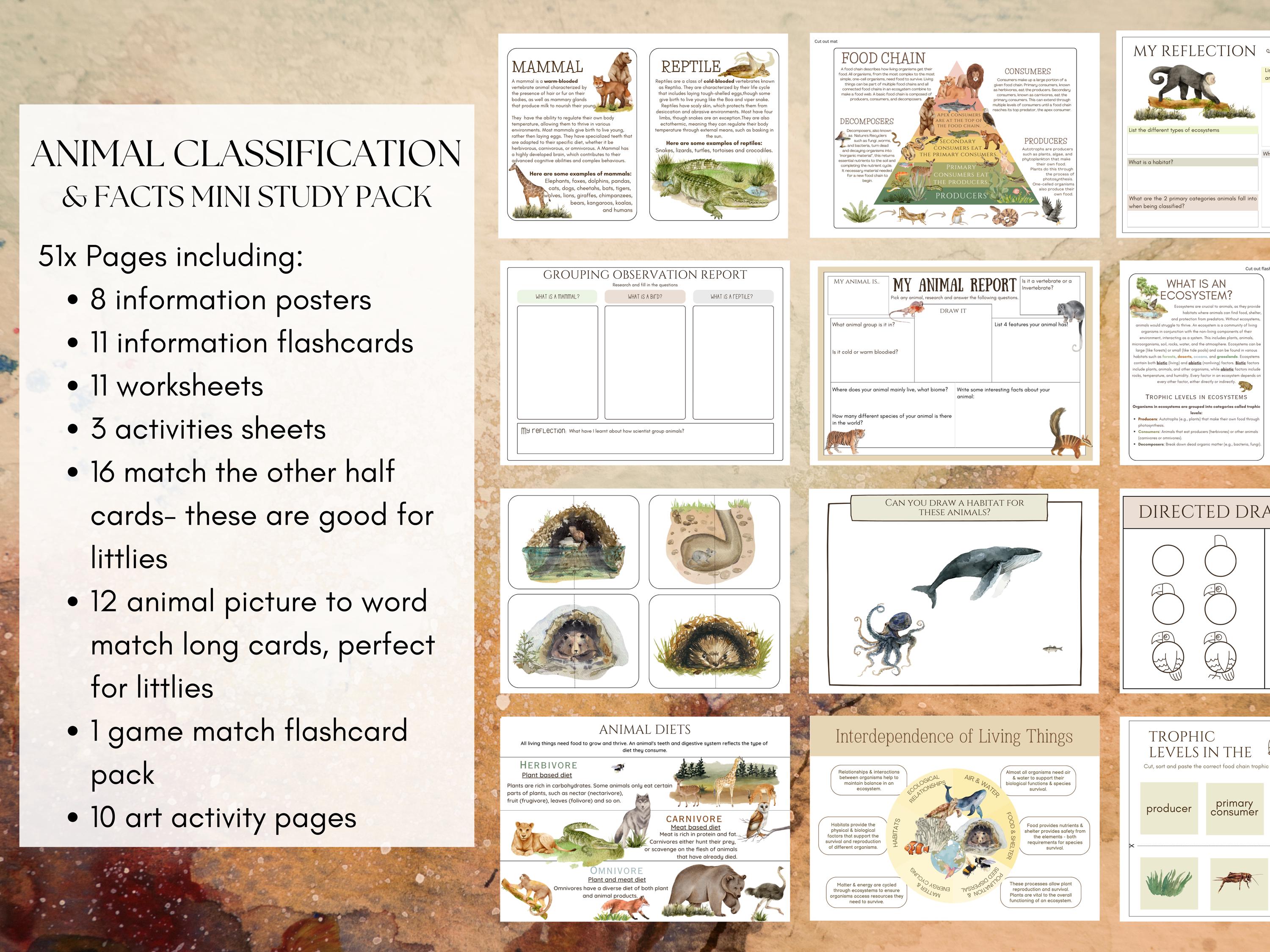 Animal Classification Study Pack | Homeschool Science Worksheets ...