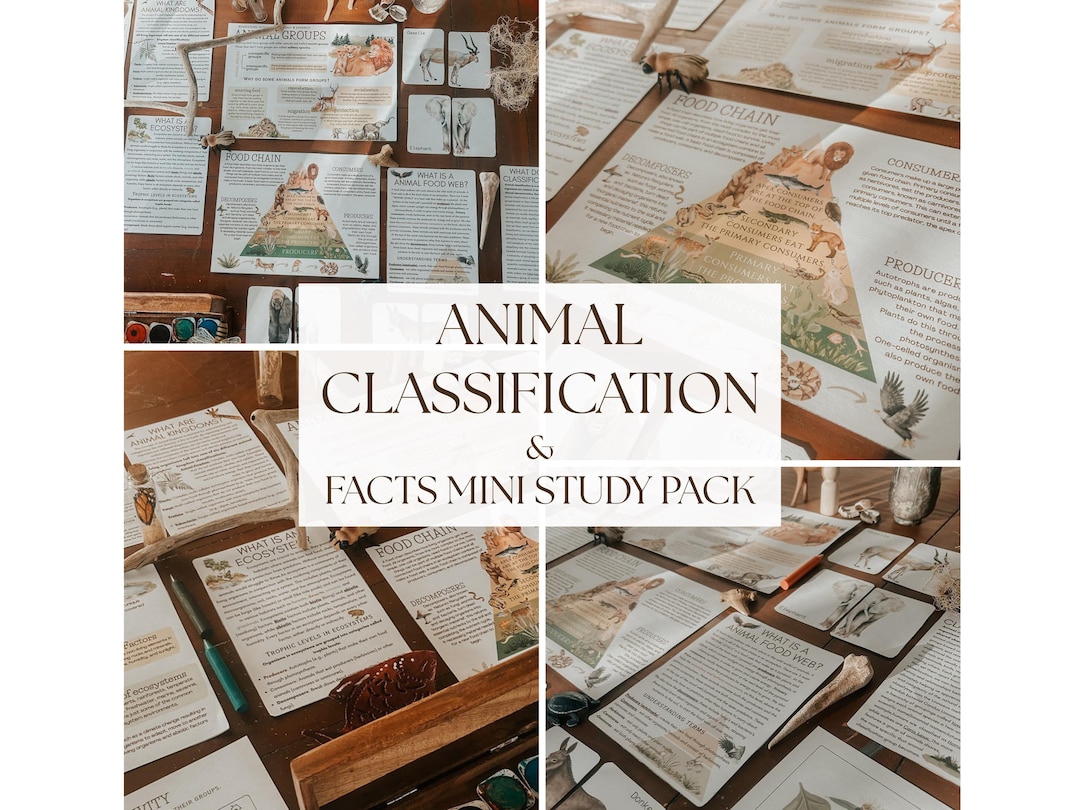 Animal Classification Study Pack | Homeschool Science Worksheets ...
