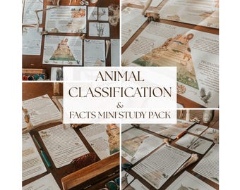 Onderzoekspakket dierclassificatie | Werkbladen, posters en flashcards wetenschap voor thuisonderwijs (afdrukbaar pdf-bestand)