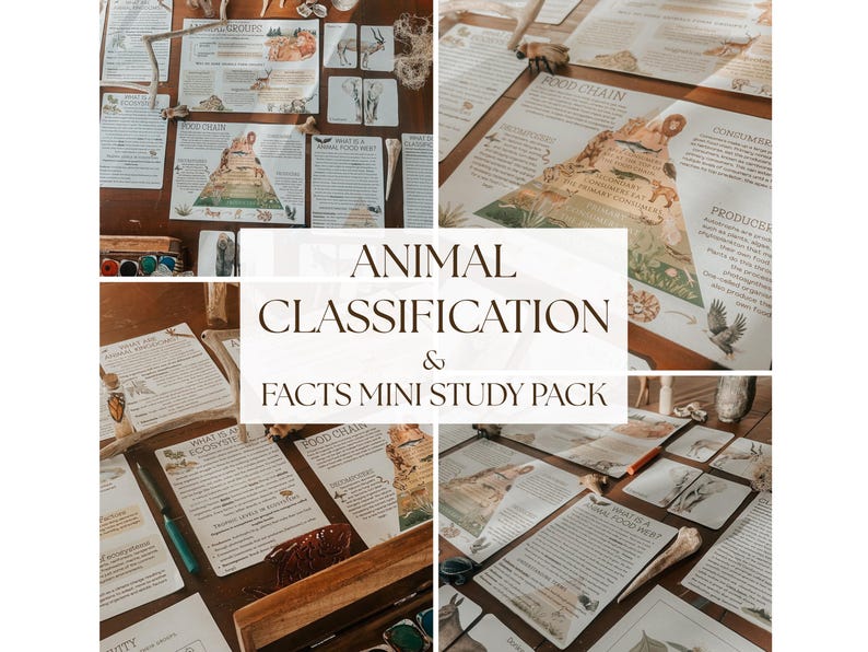 Op de afbeelding: Een verzameling educatief materiaal, waaronder bedrukte vellen en kaarten, gerangschikt op een houten oppervlak. De tekst "ANIMAL CLASSIFICATION & FACTS MINI STUDY PACK" is prominent aanwezig. De materialen bevatten illustraties en tekst over dierkunde.