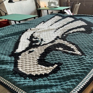 May include: A green, white and black crocheted blanket with an eagle design. The blanket has a white border with a black trim.