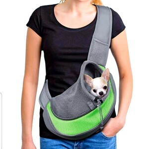 dog luggage