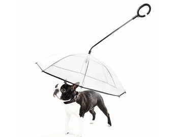 dog umbrella hat