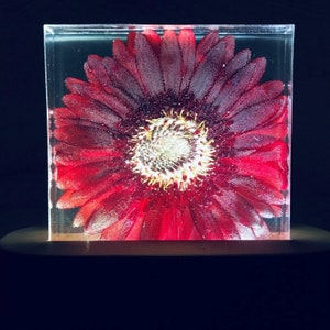 Red sunflower flowers night light, bedroom bedside lamp, epoxy resin lamp, real flower light, gift to her