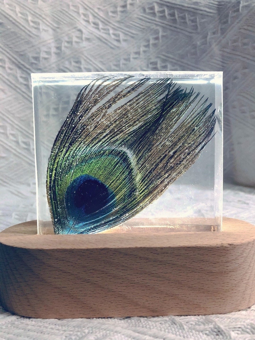 Resin Peacock Feather Stuffed Real Stuffed Feather Home Etsy