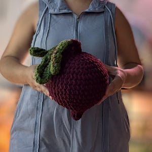 Big Beet Pillow