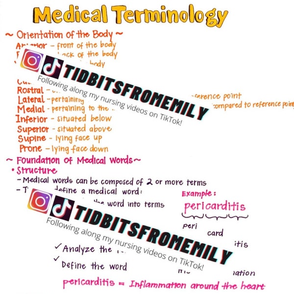 Medical Terminology