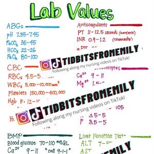Lab Values, Vital Signs, and Basic Metabolic Panel BMP CHEM 7