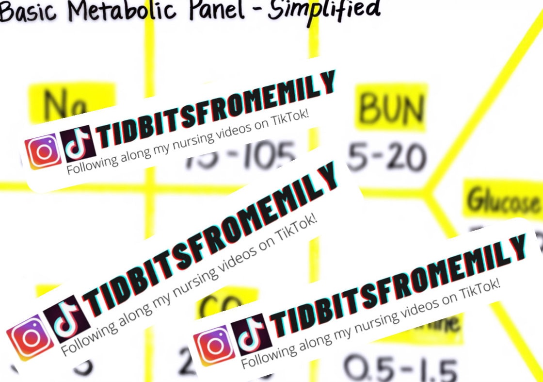 Lab Values, Vital Signs, and Basic Metabolic Panel BMP CHEM 7 - Etsy
