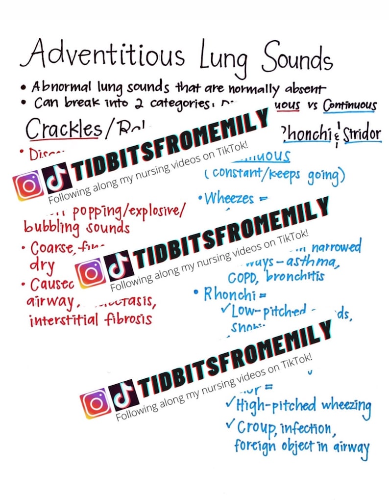 5 adventitious breath sounds 5 adventitious breath sounds